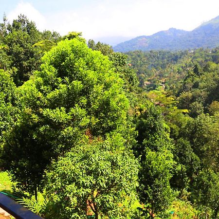 Green Magic Riverside Resort Munnar Dış mekan fotoğraf