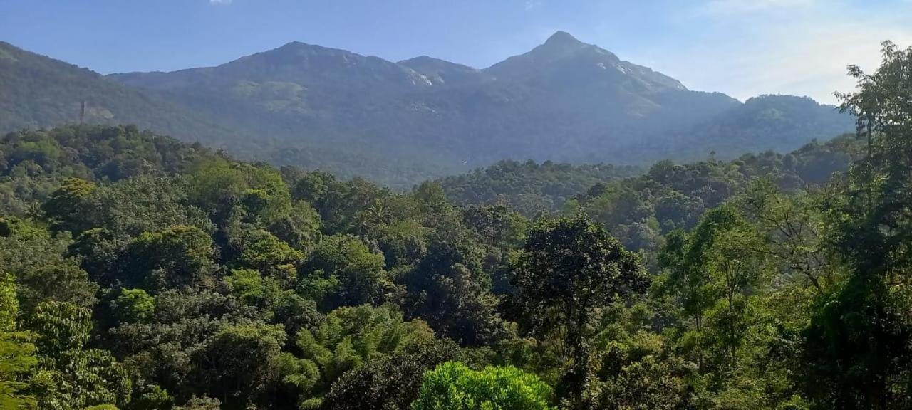 Green Magic Riverside Resort Munnar Dış mekan fotoğraf
