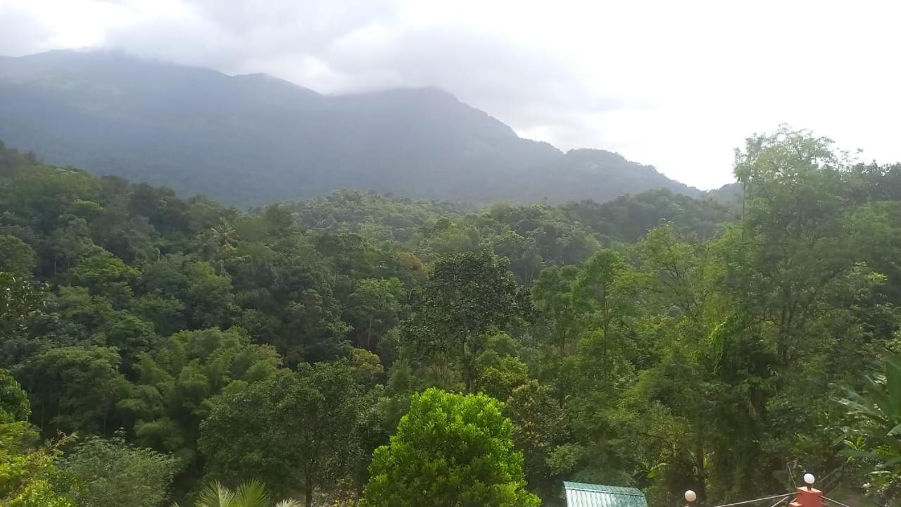 Green Magic Riverside Resort Munnar Dış mekan fotoğraf
