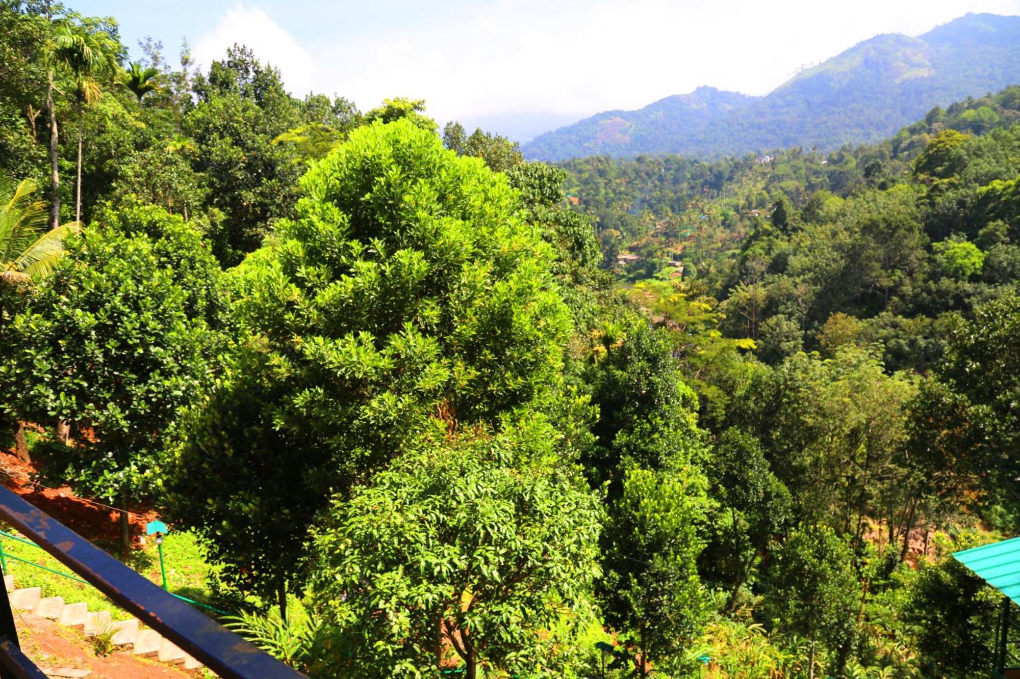 Green Magic Riverside Resort Munnar Dış mekan fotoğraf